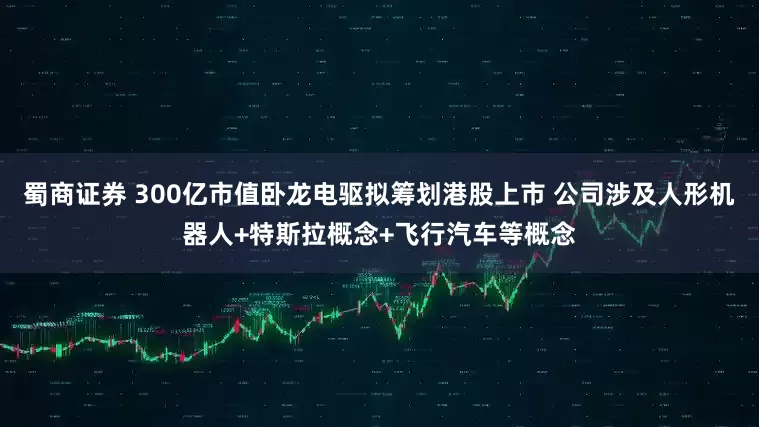 蜀商证券 300亿市值卧龙电驱拟筹划港股上市 公司涉及人形机器人+特斯拉概念+飞行汽车等概念