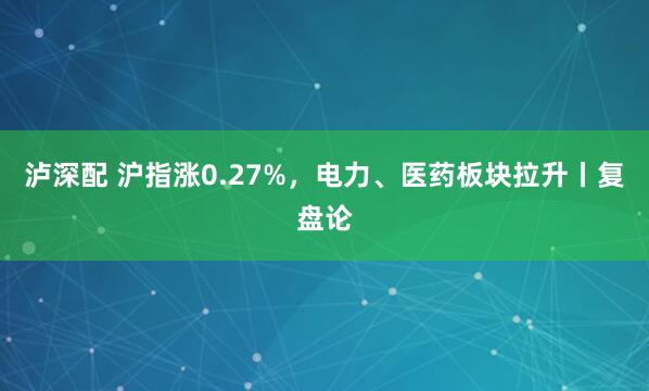 泸深配 沪指涨0.27%，电力、医药板块拉升丨复盘论