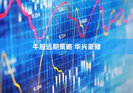 牛股远期策略 华兴豪赌