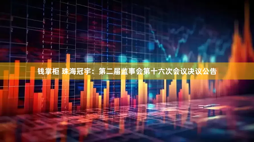 钱掌柜 珠海冠宇：第二届监事会第十六次会议决议公告