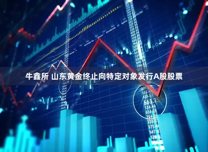 牛鑫所 山东黄金终止向特定对象发行A股股票