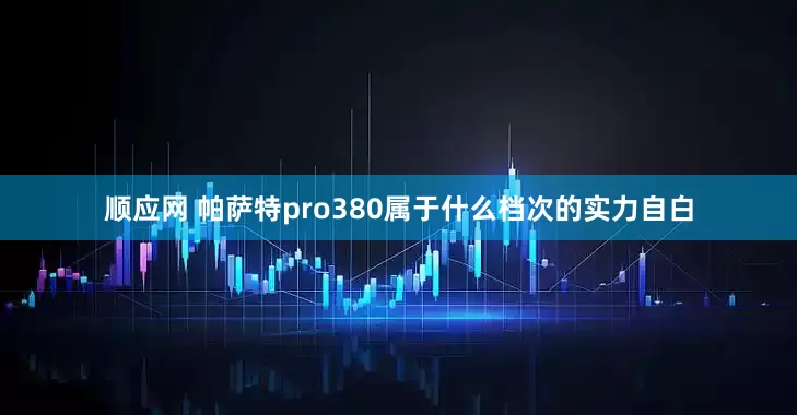 顺应网 帕萨特pro380属于什么档次的实力自白