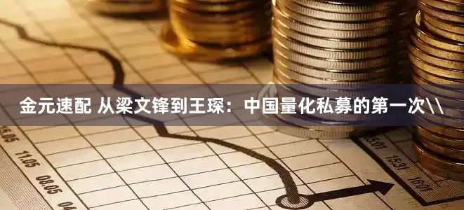 金元速配 从梁文锋到王琛：中国量化私募的第一次\